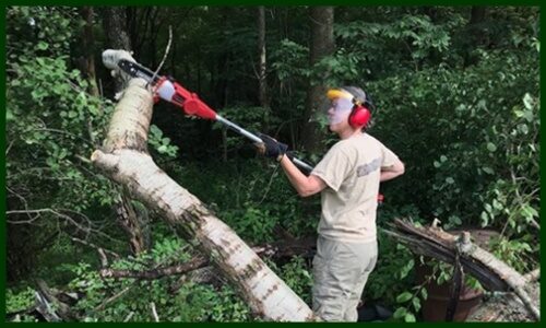 Pole Saw Cutting Techniques