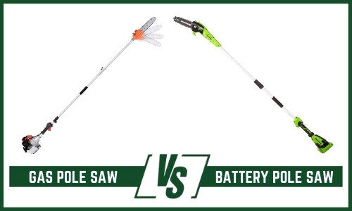 Gas vs Battery Pole Saw